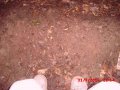CIMG0702.JPG